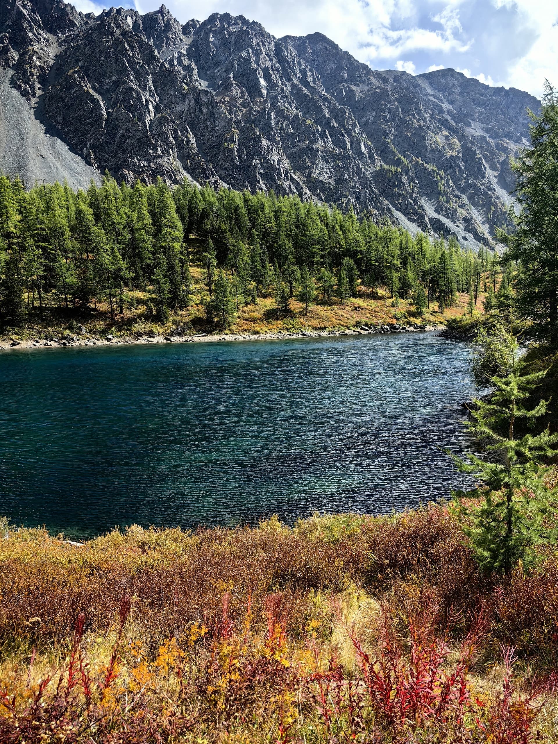 Тропы Алтая - фото 7
