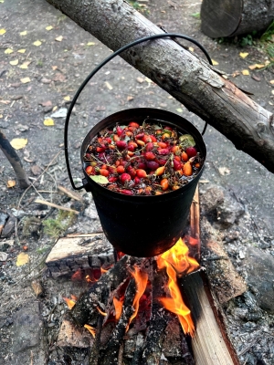 Сплав по Онеге