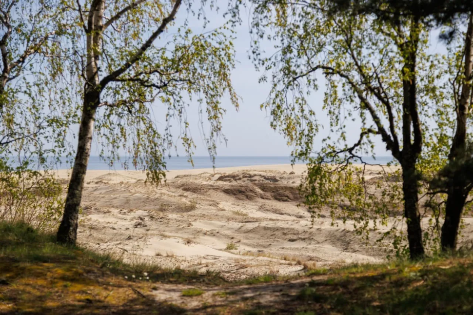 Калининградская область лучшее: за 4 дня