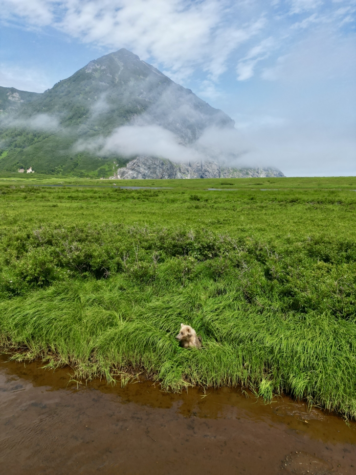 Камчатка