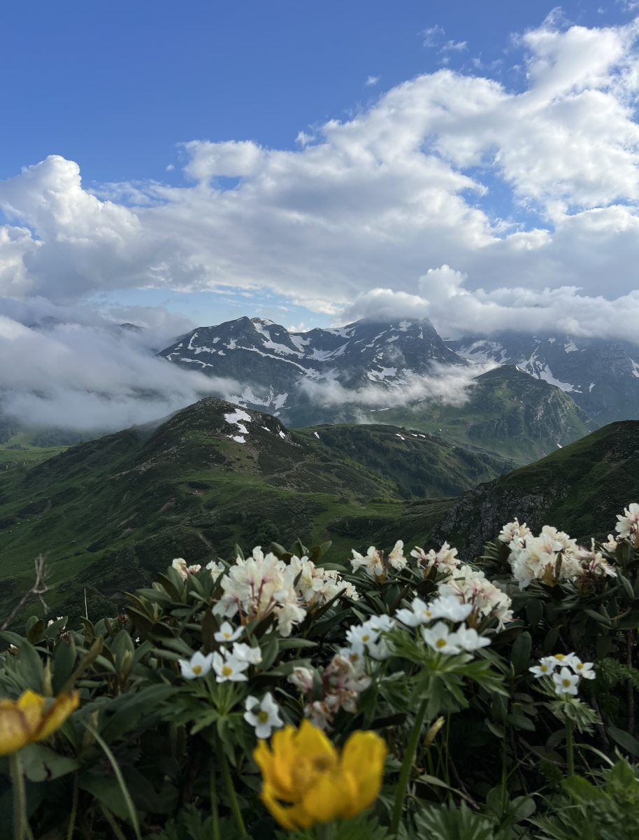 Горная Абхазия.