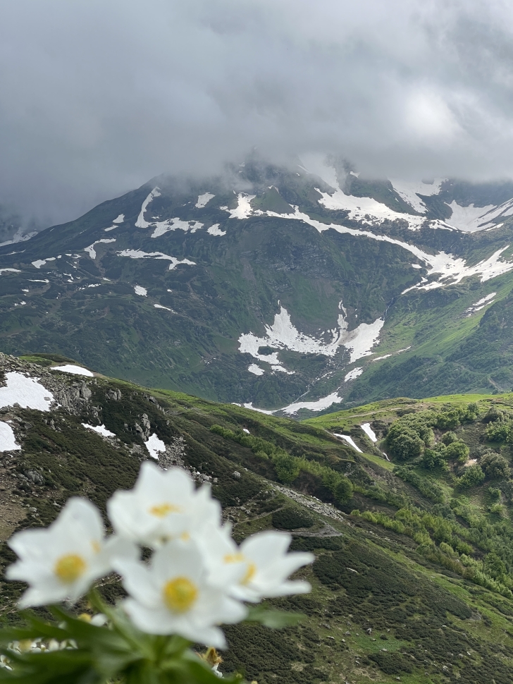 Горная Абхазия.