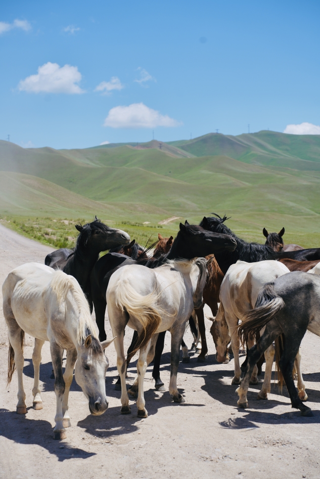 Road Trip по Кыргызстану за 8 дней