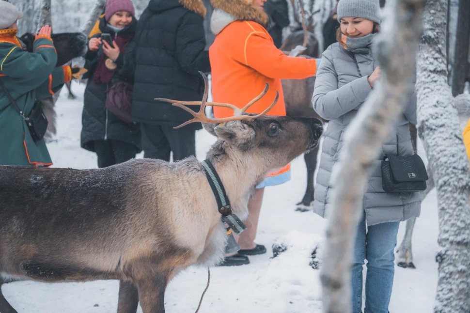 Сияние Севера. Полное погружение