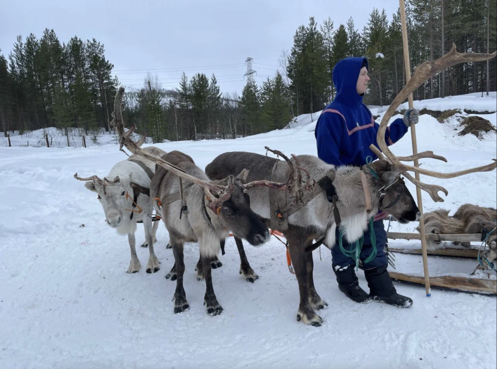 За китами под яркие огни Авроры. Максимум за 3 дня