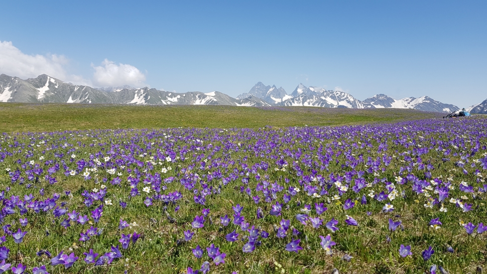 Красоты Архыза