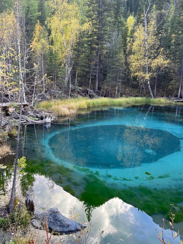 Шаманские тропы