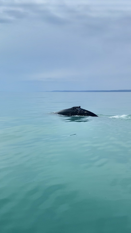 Солнечные ночи Крайнего Севера