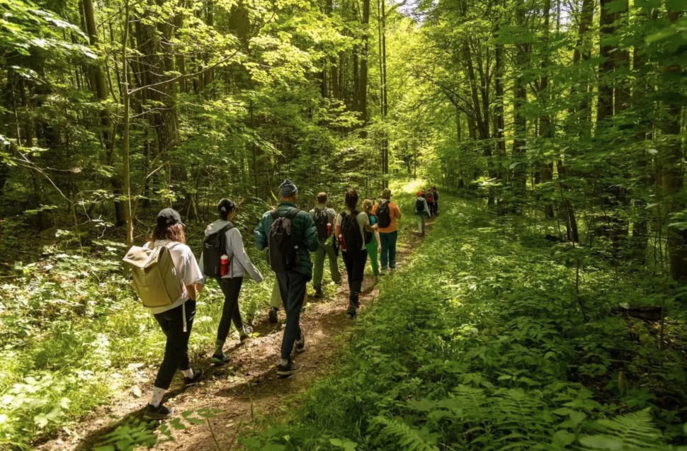Hiking Camp - Пеший поход по Калининградской области с комфортом