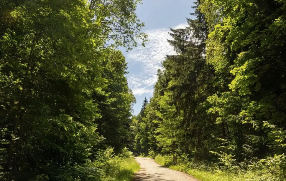 Hiking Camp - Пеший поход по Калининградской области с комфортом