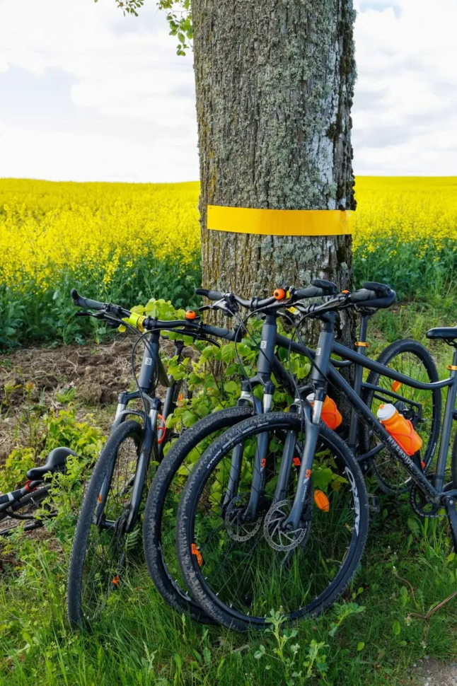 Bike Camp - Велотур: Новые маршруты mini 4 дня