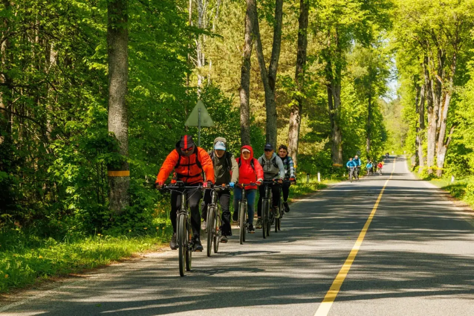 Bike Camp - Велотур: Новые маршруты 6 дней