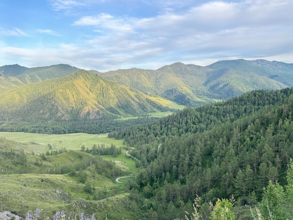 Лето в сердце Алтая