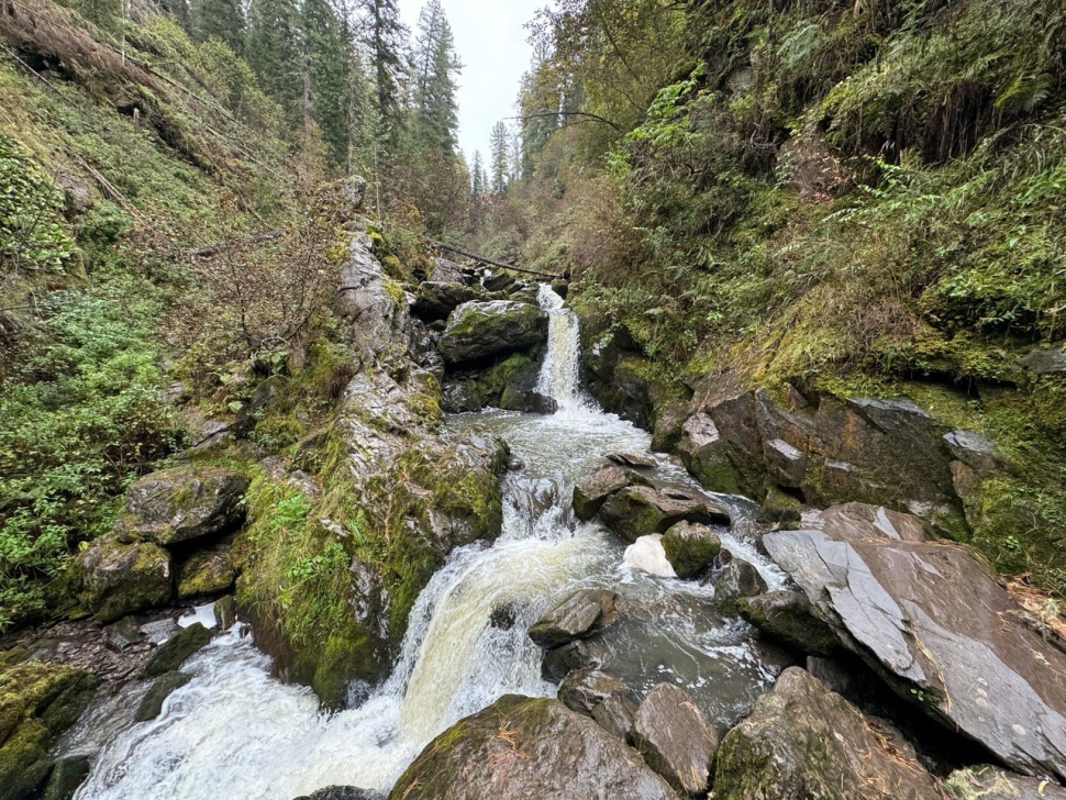 Лето в сердце Алтая
