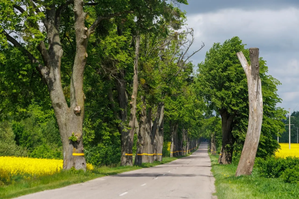 Bike Camp - Велотур: 6 дней