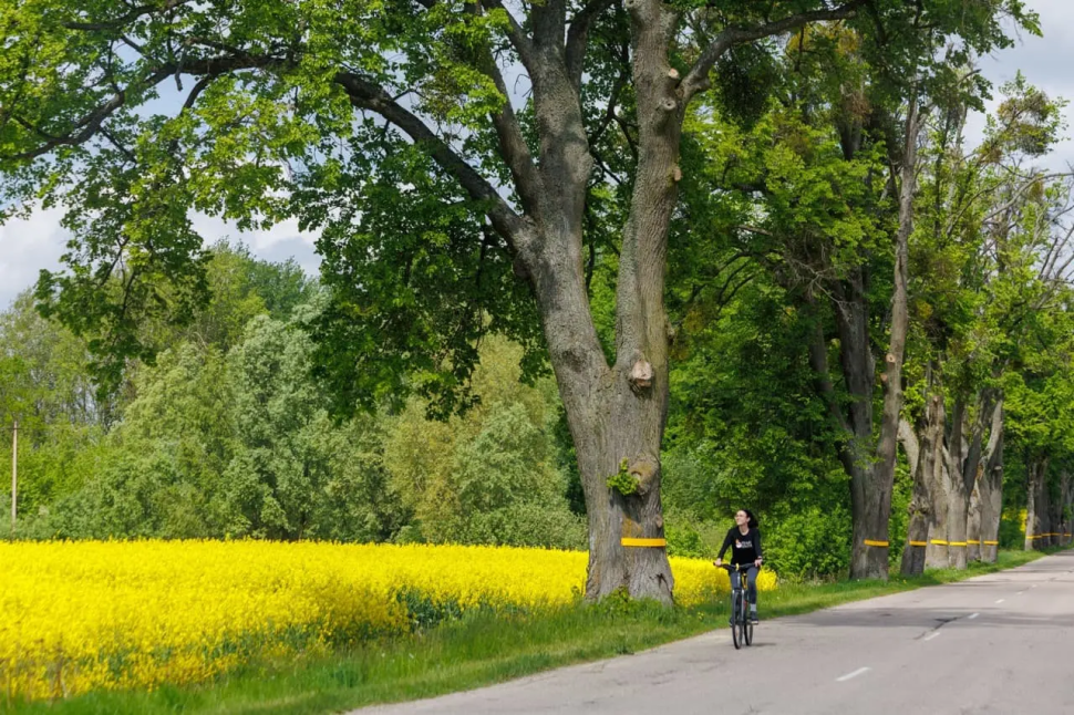 Bike Camp - Велотур: 6 дней